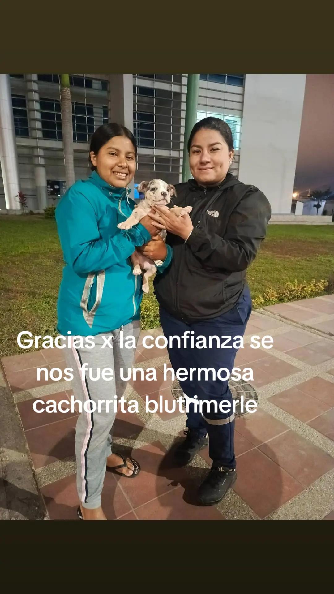 @Eduardo