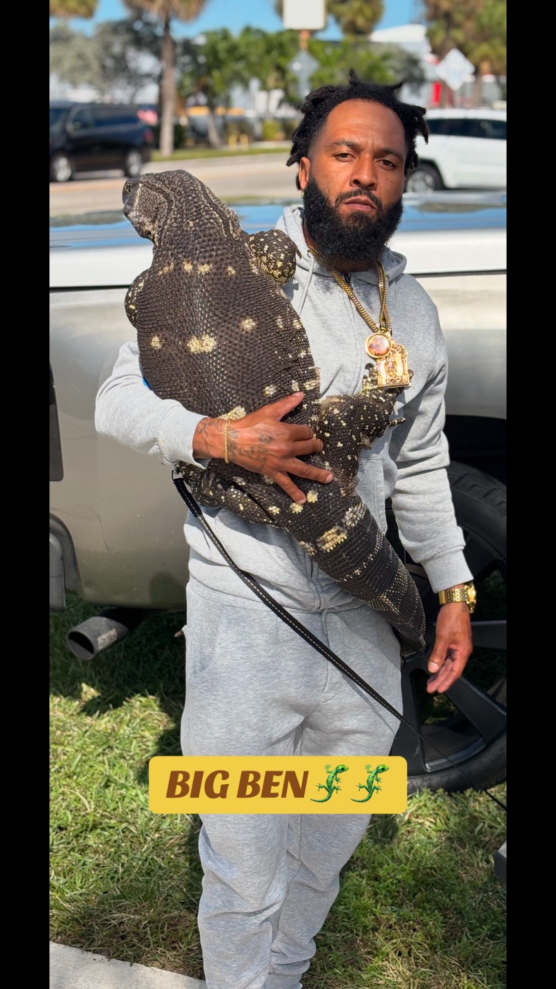 @LizardMan561