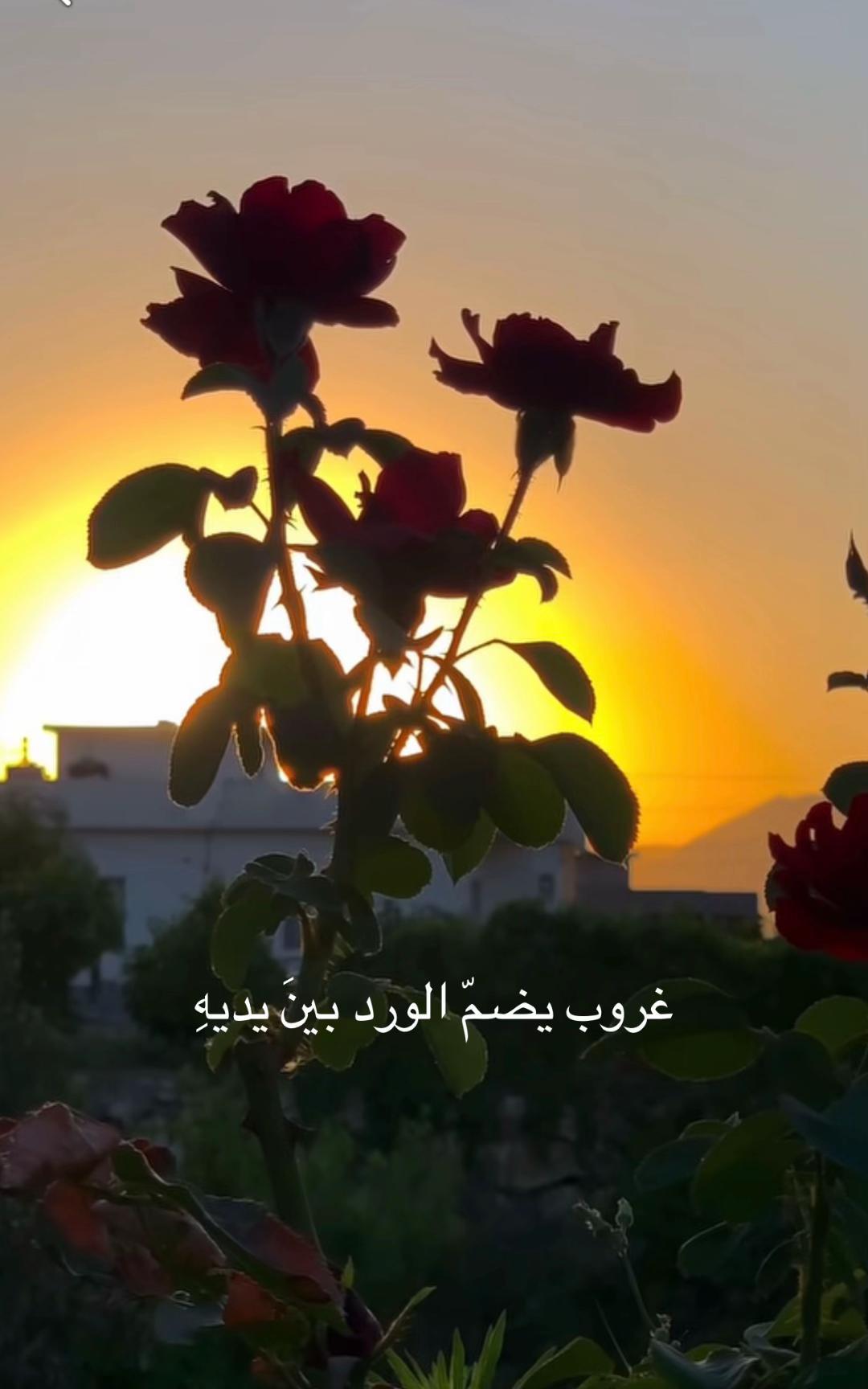 @🥰😘🫶🏻leben