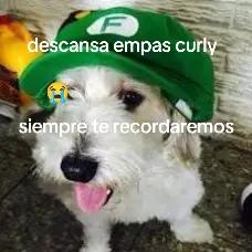 @mauroxxxie