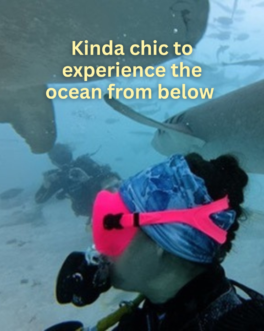 @The Dive Compass