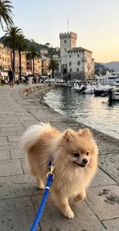 @❤️Milo❤️