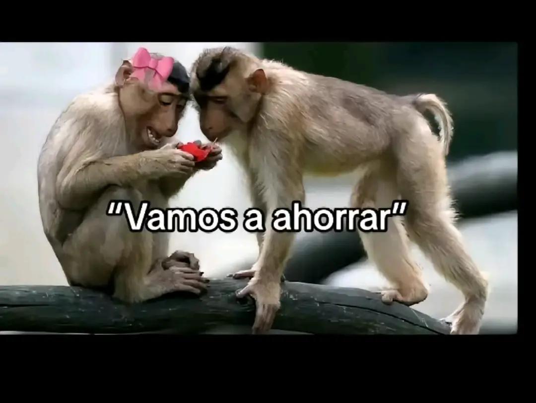 @🍬 Dulce🍬
