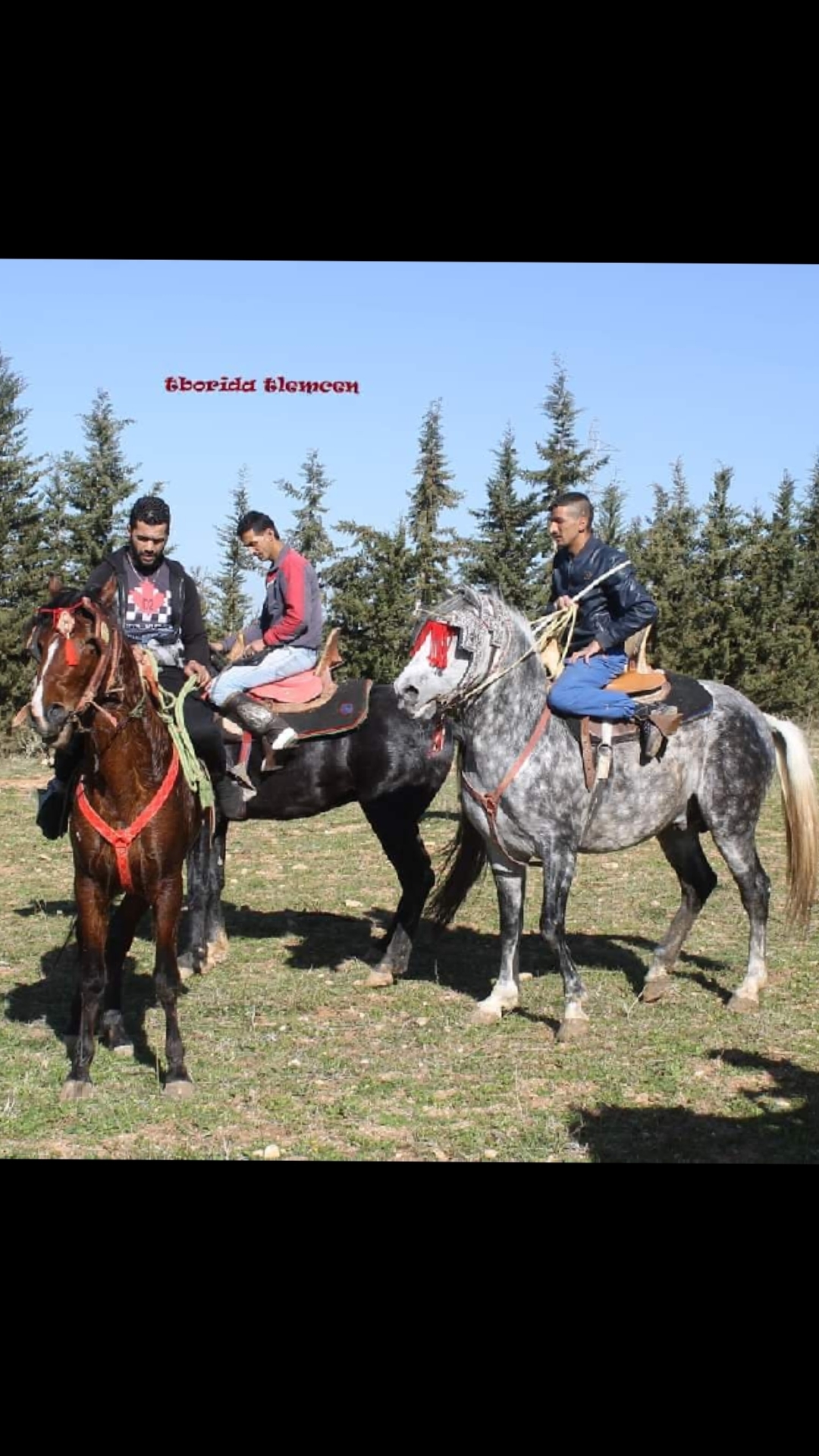 @Youcef Bouchiba