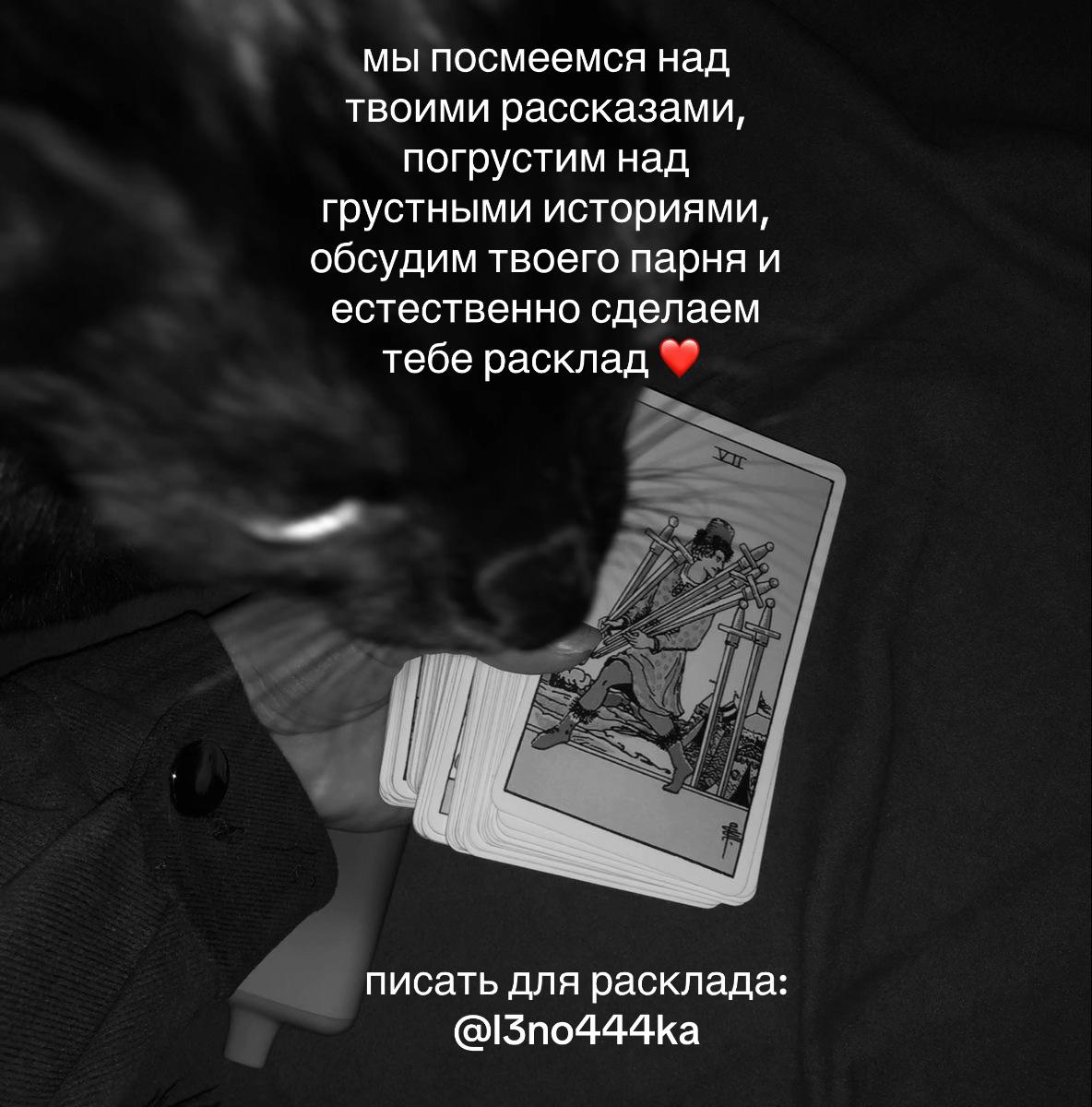 @твой таролог 🫶