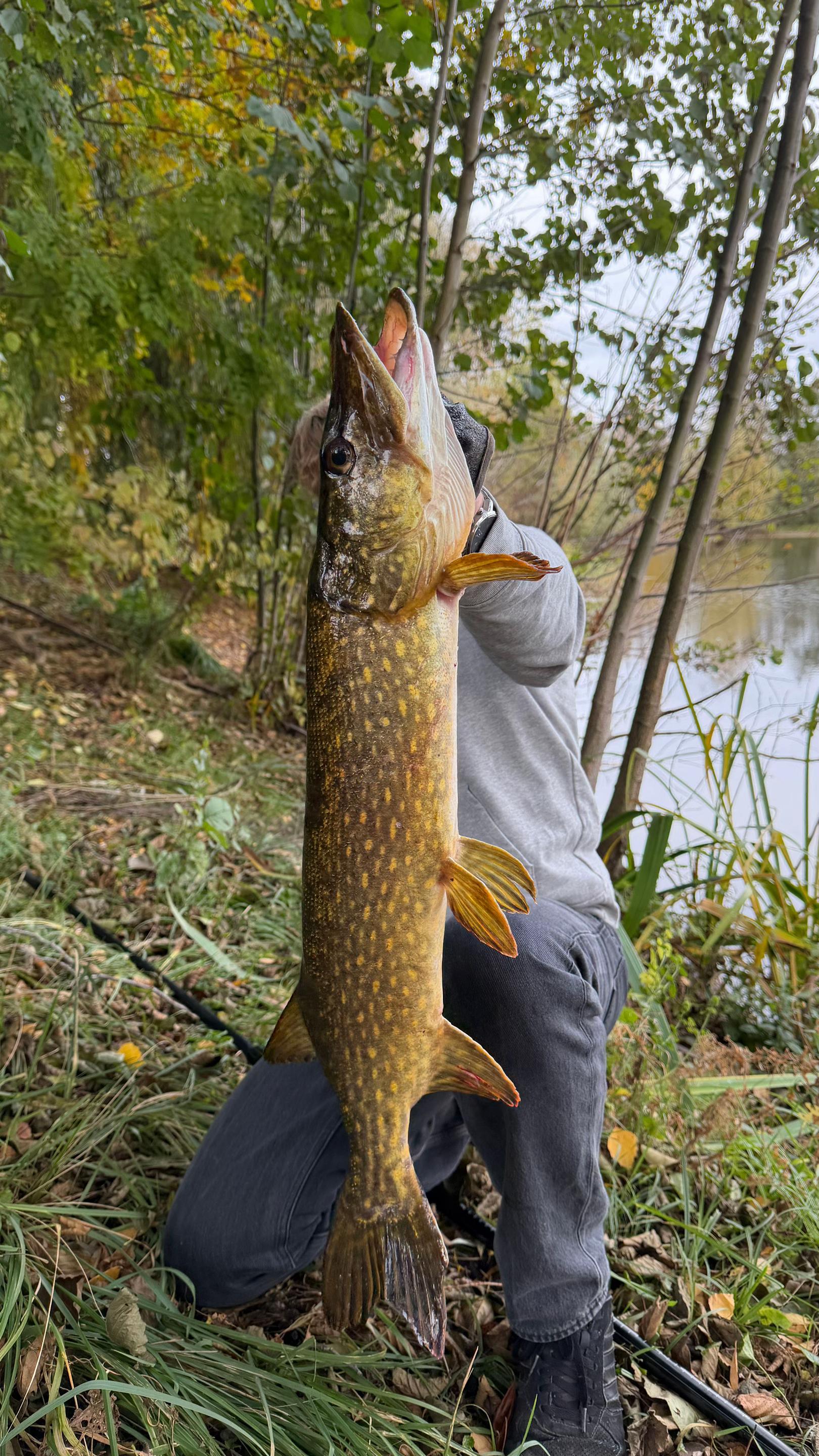 @Castandcatch