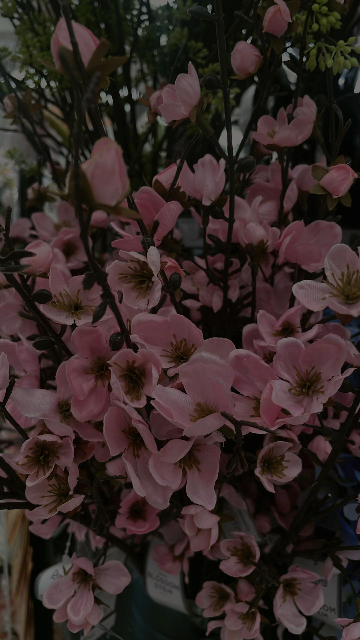 @トジ ᥫ᭡.