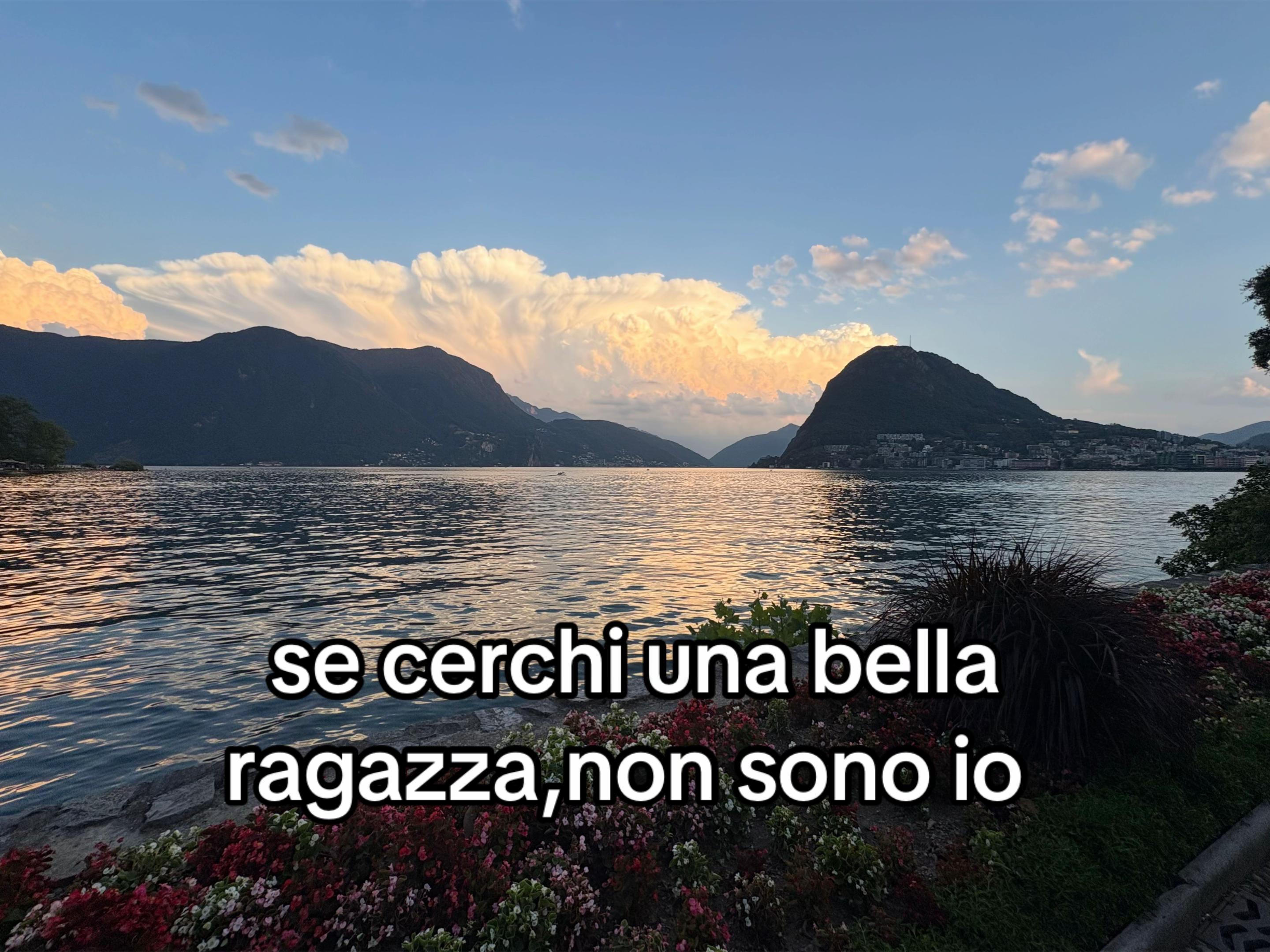 @Morgana_13