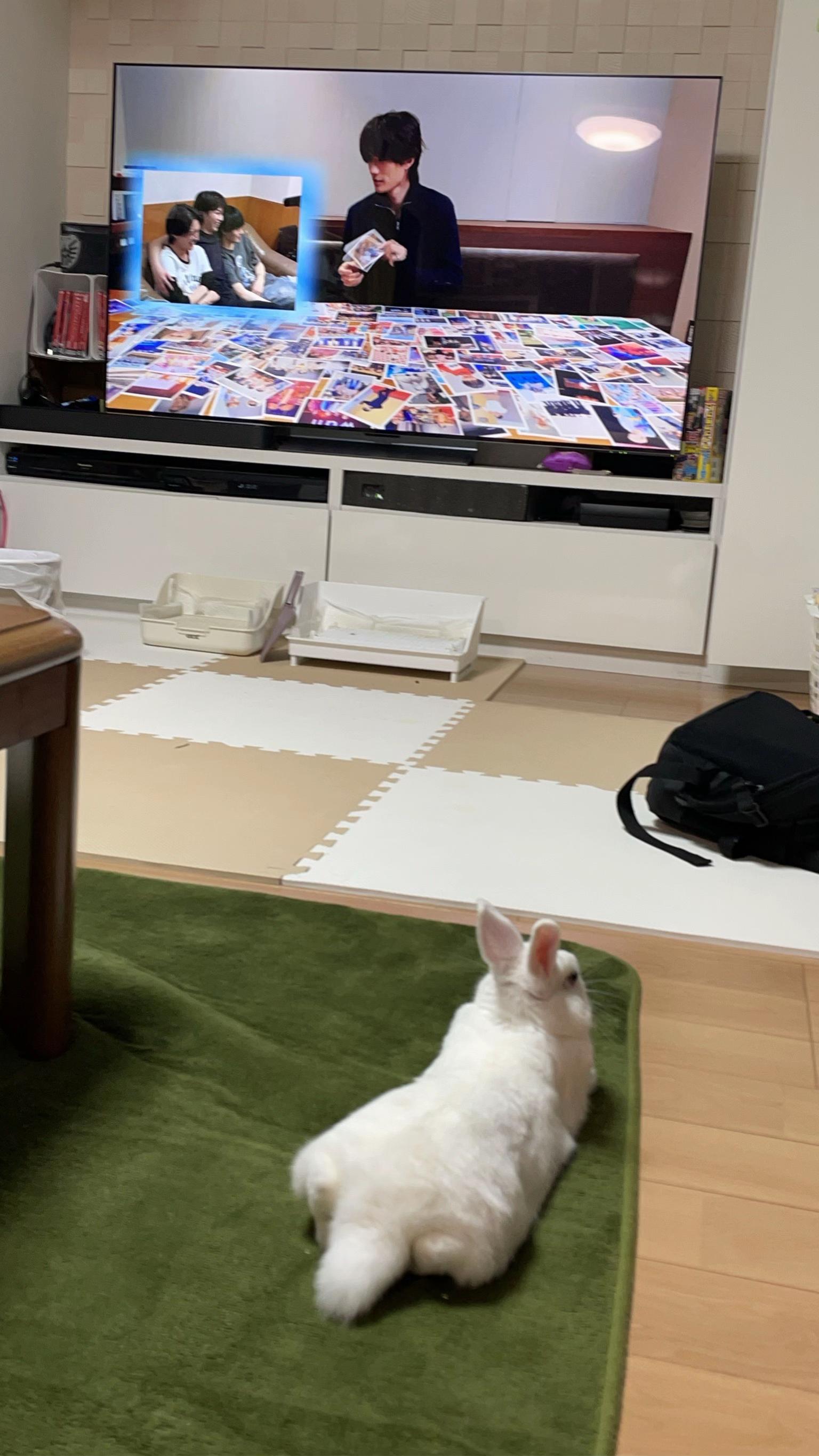 @おひるねじかん