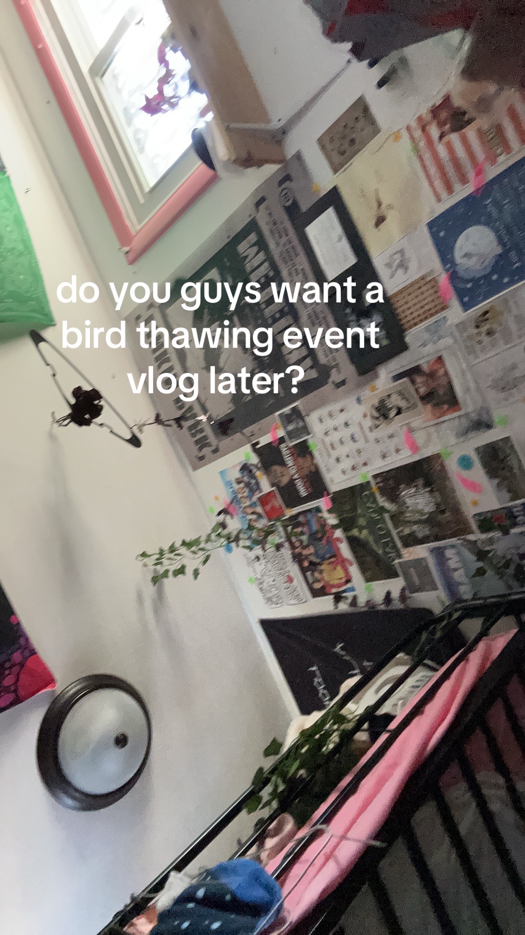 @💚
