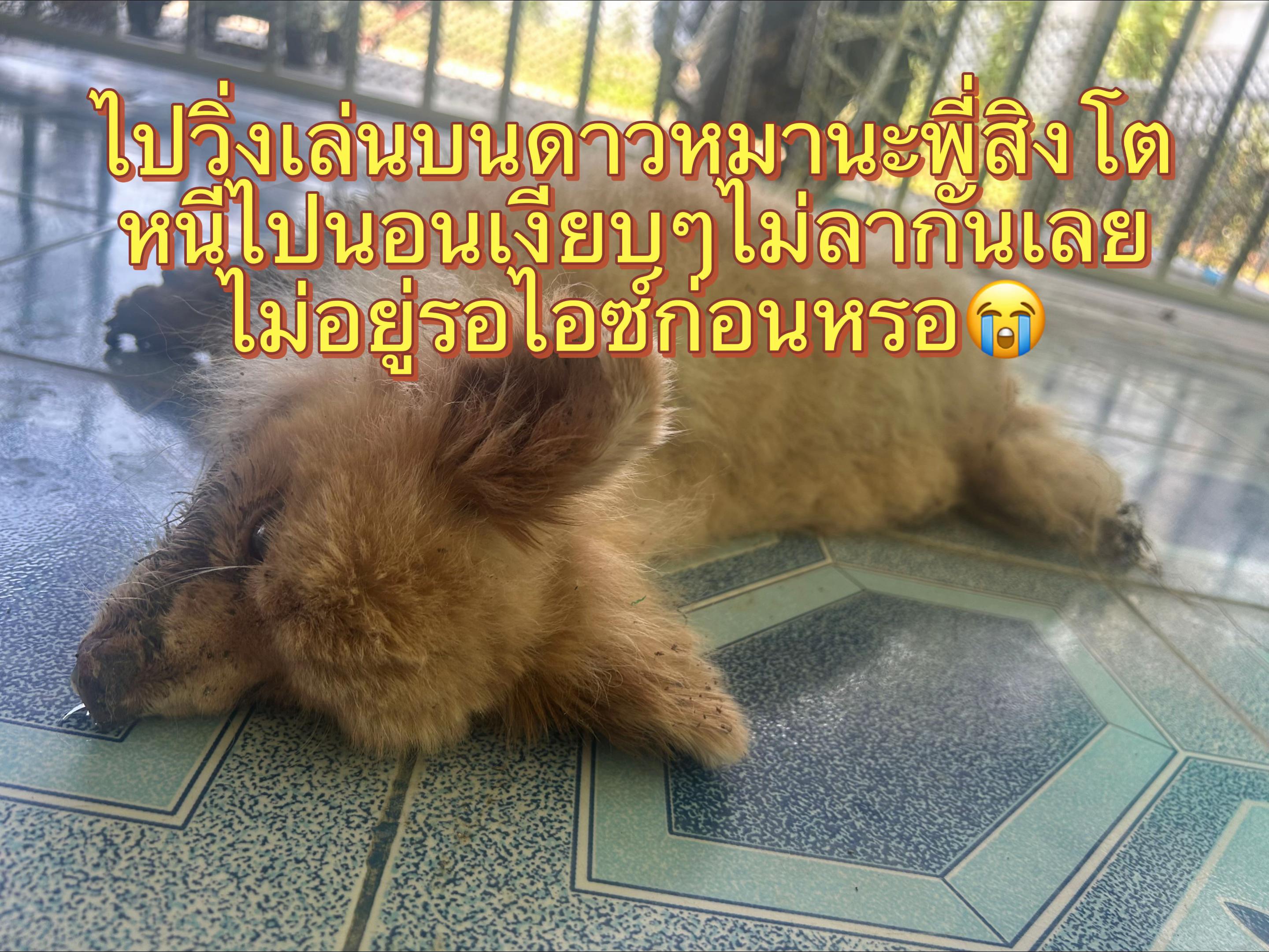 @ต้าวอลันเด็กครอบแว่น🐼