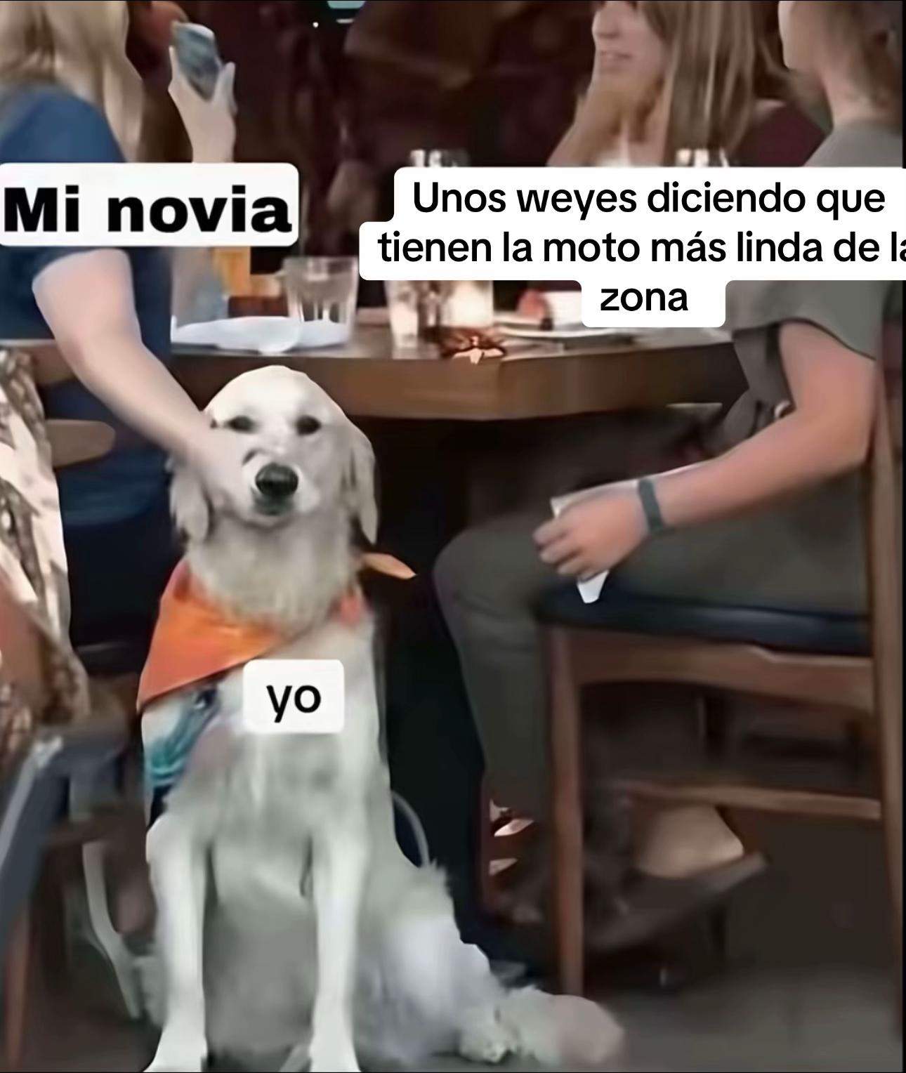 @Adiel V&aacute;squez🫧