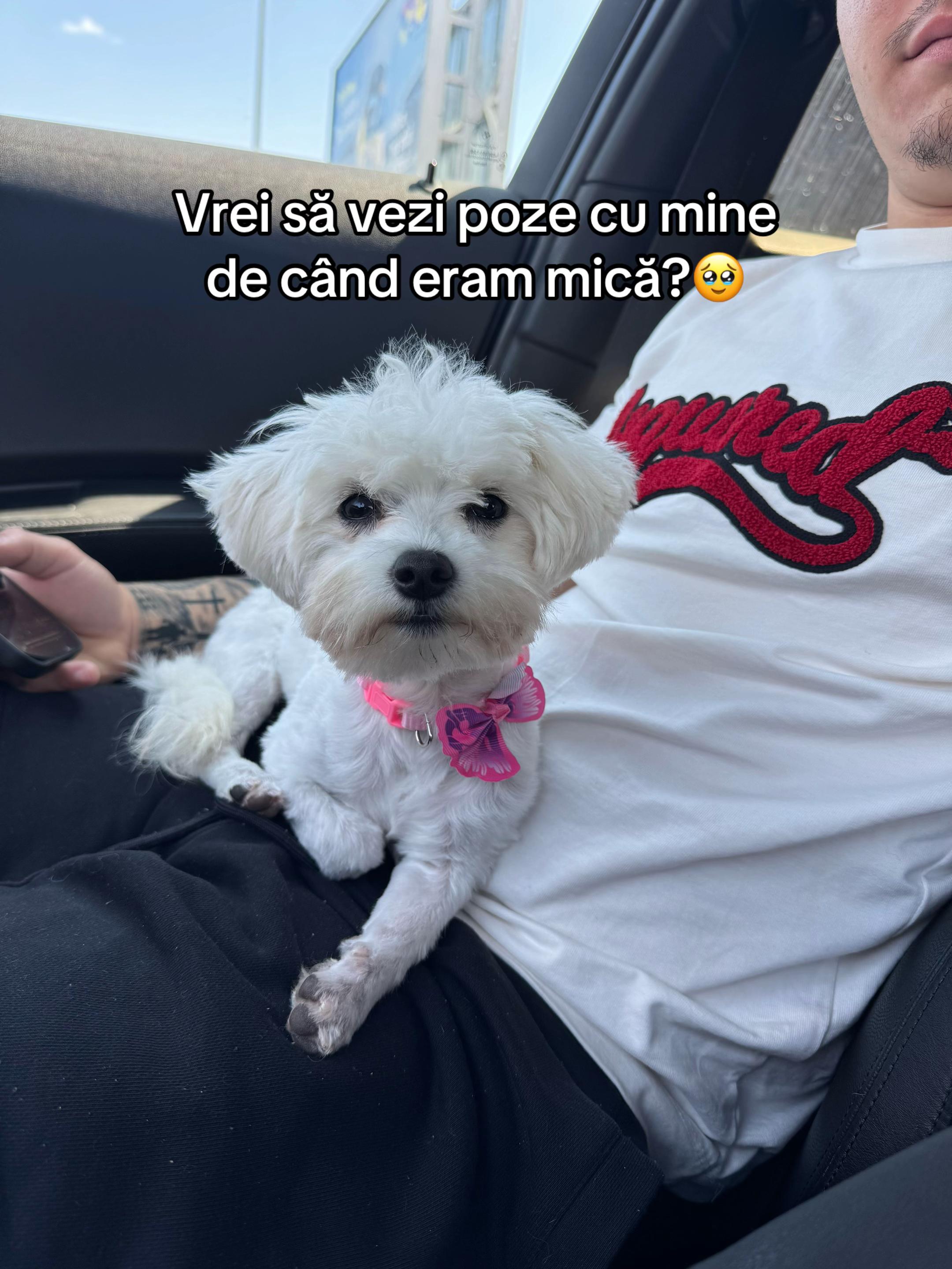 @maria_ecaterina