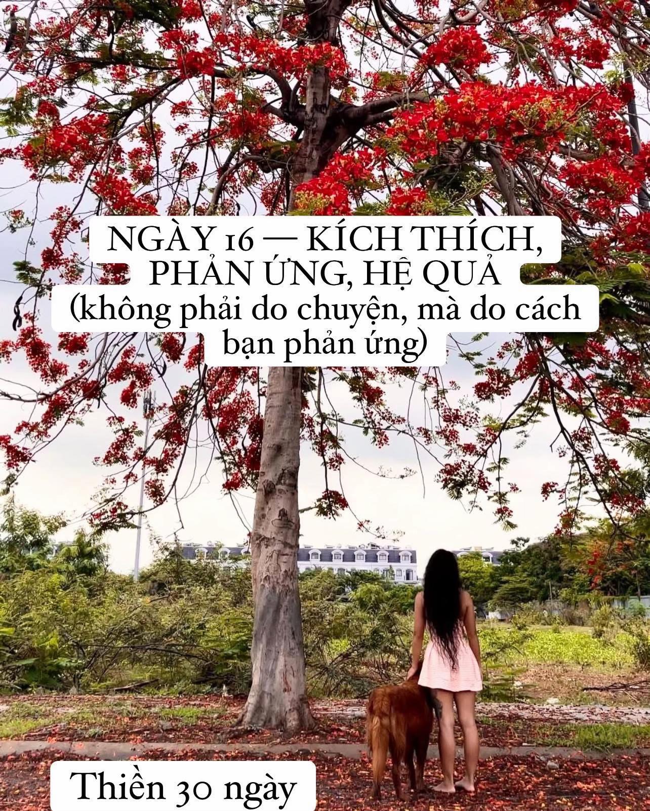 @buihoangbichtho