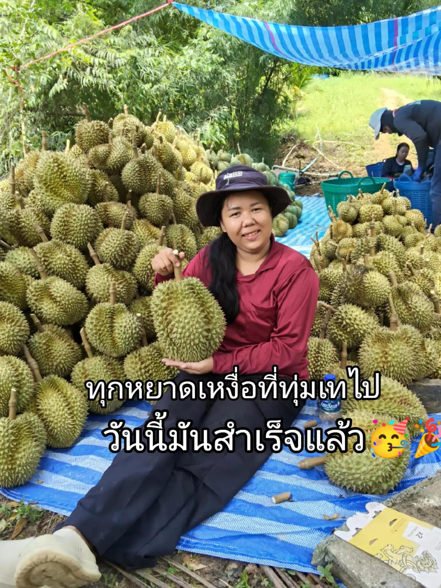 @สุจิตตรา ไชยสงค์
