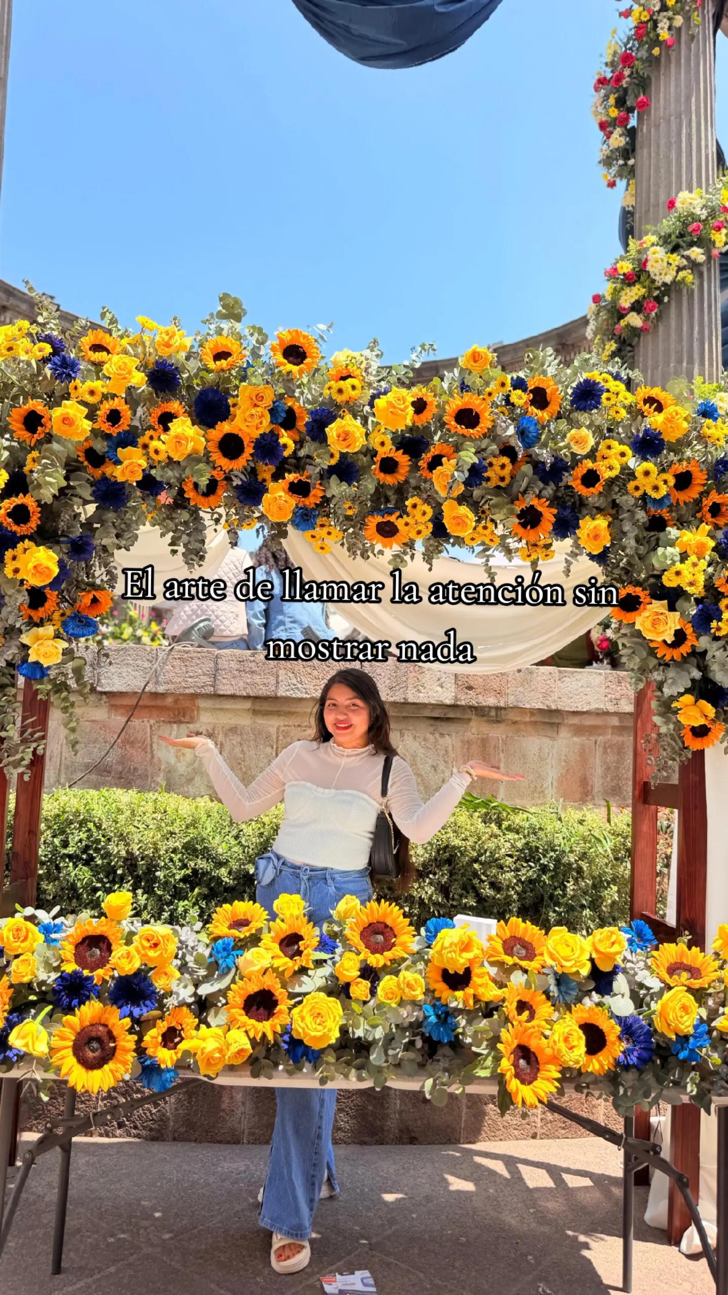 @🔎Adiana🔍