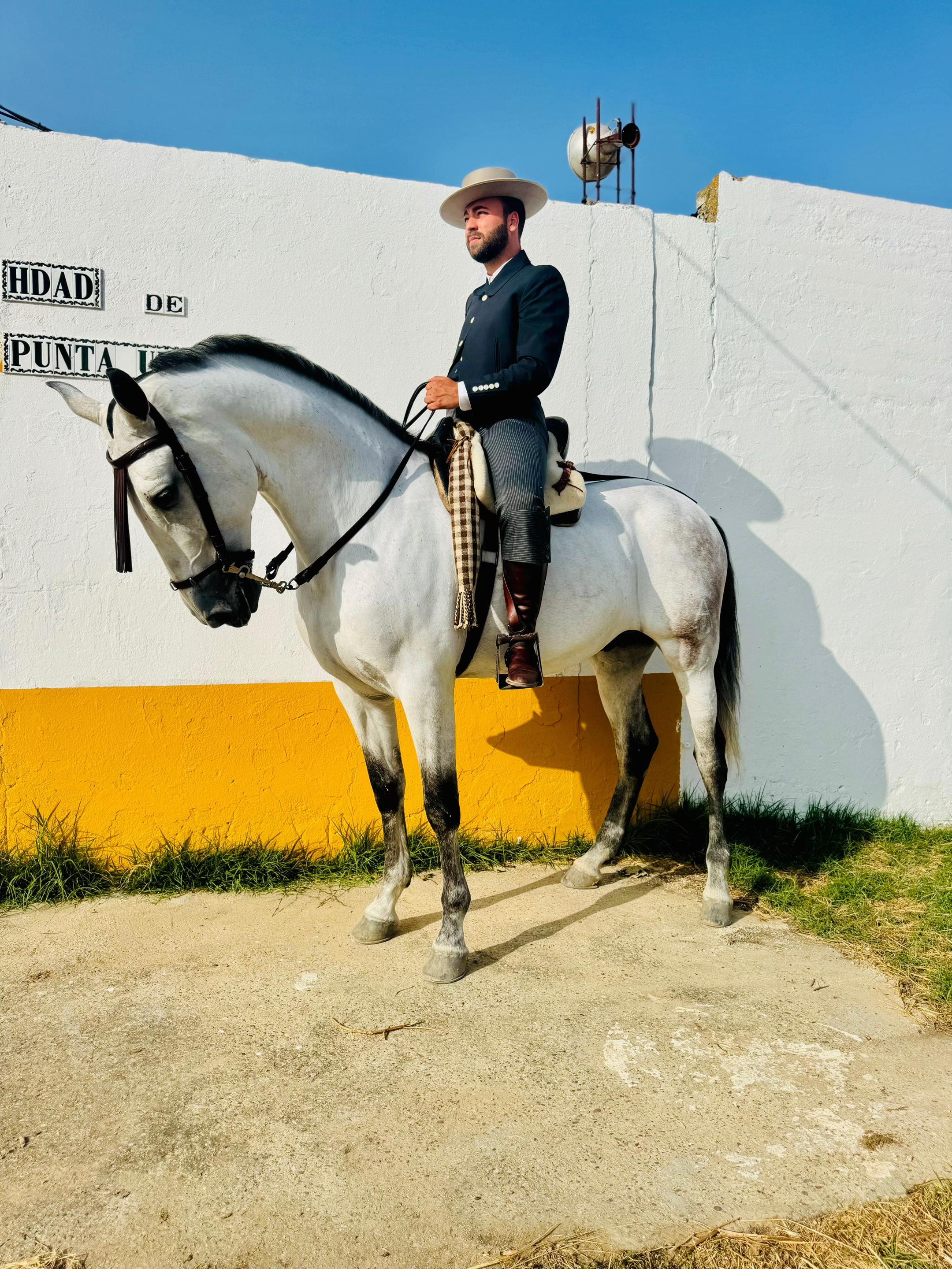 @Pablo Hernández