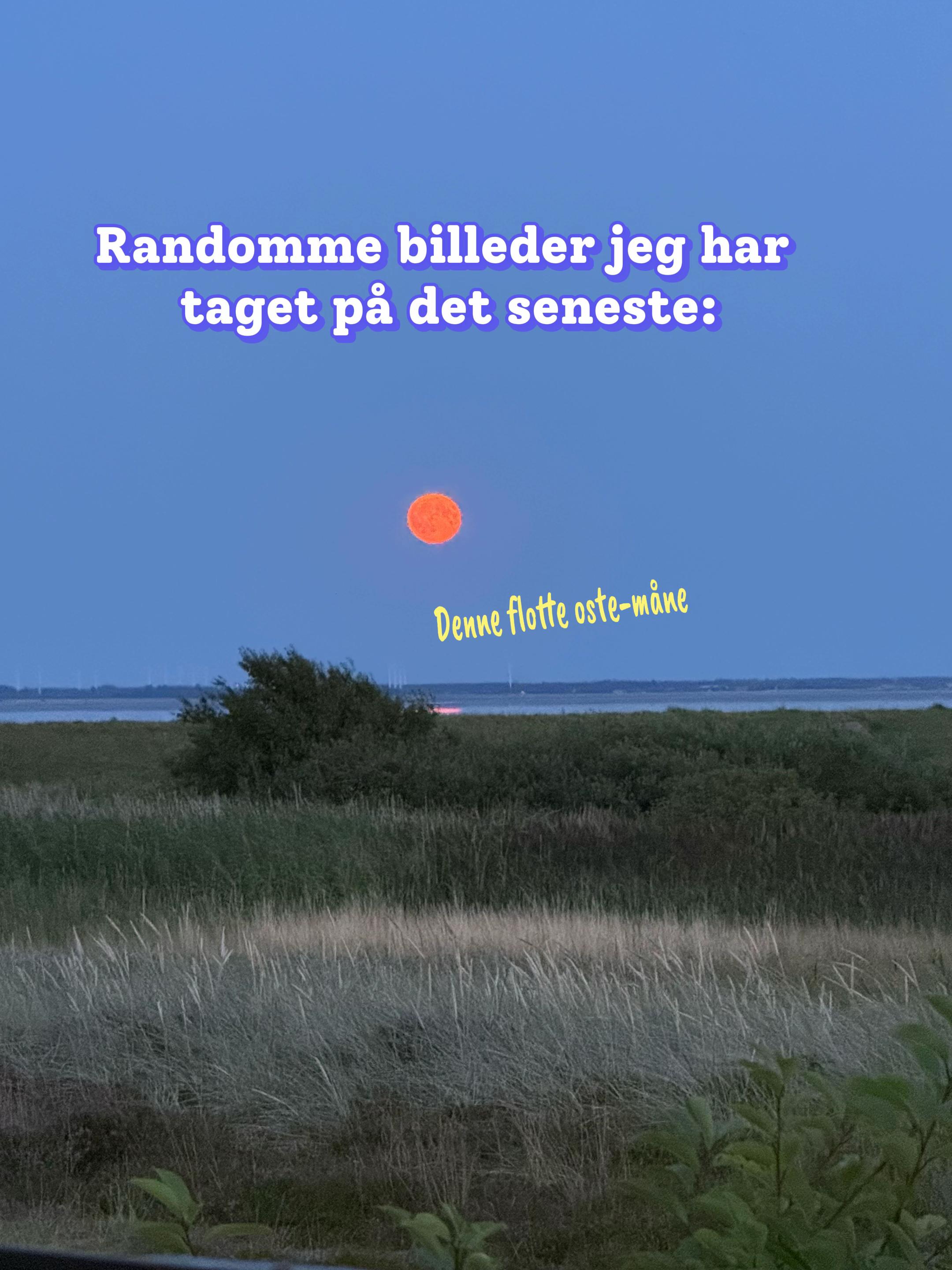 @KLOSTER 🤙