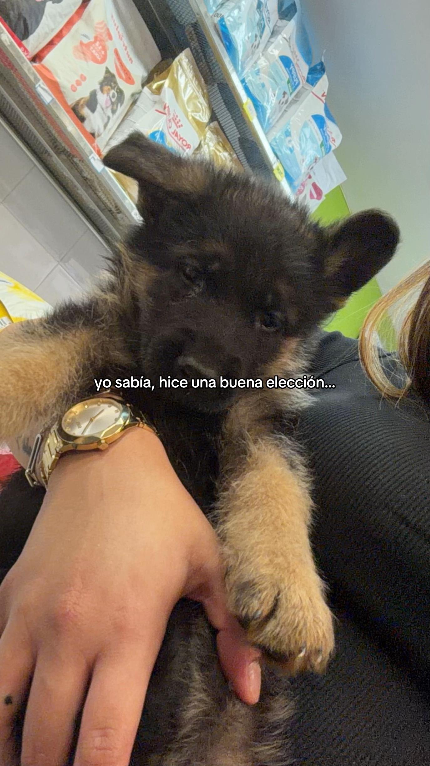 @Claudia López