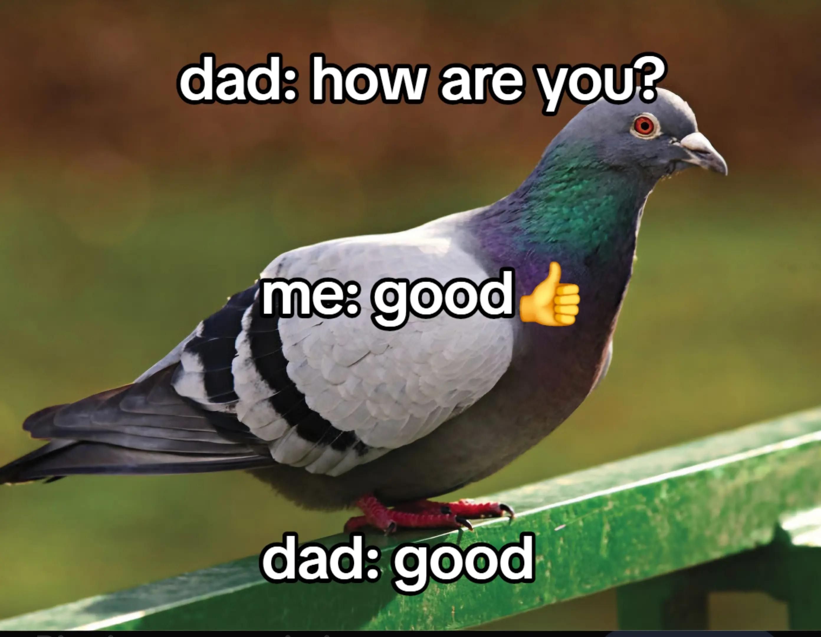 @relateable