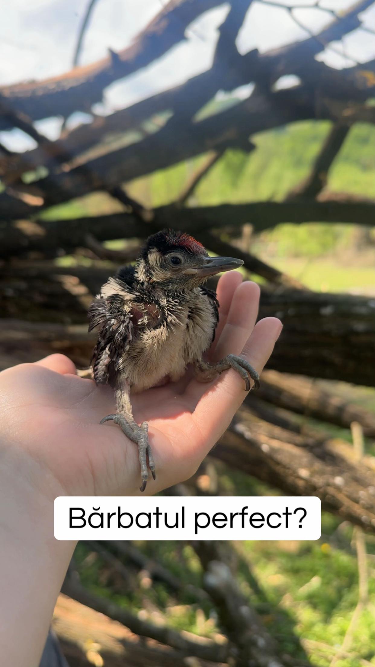 @🦅𝔞ή𝖉ཞα
