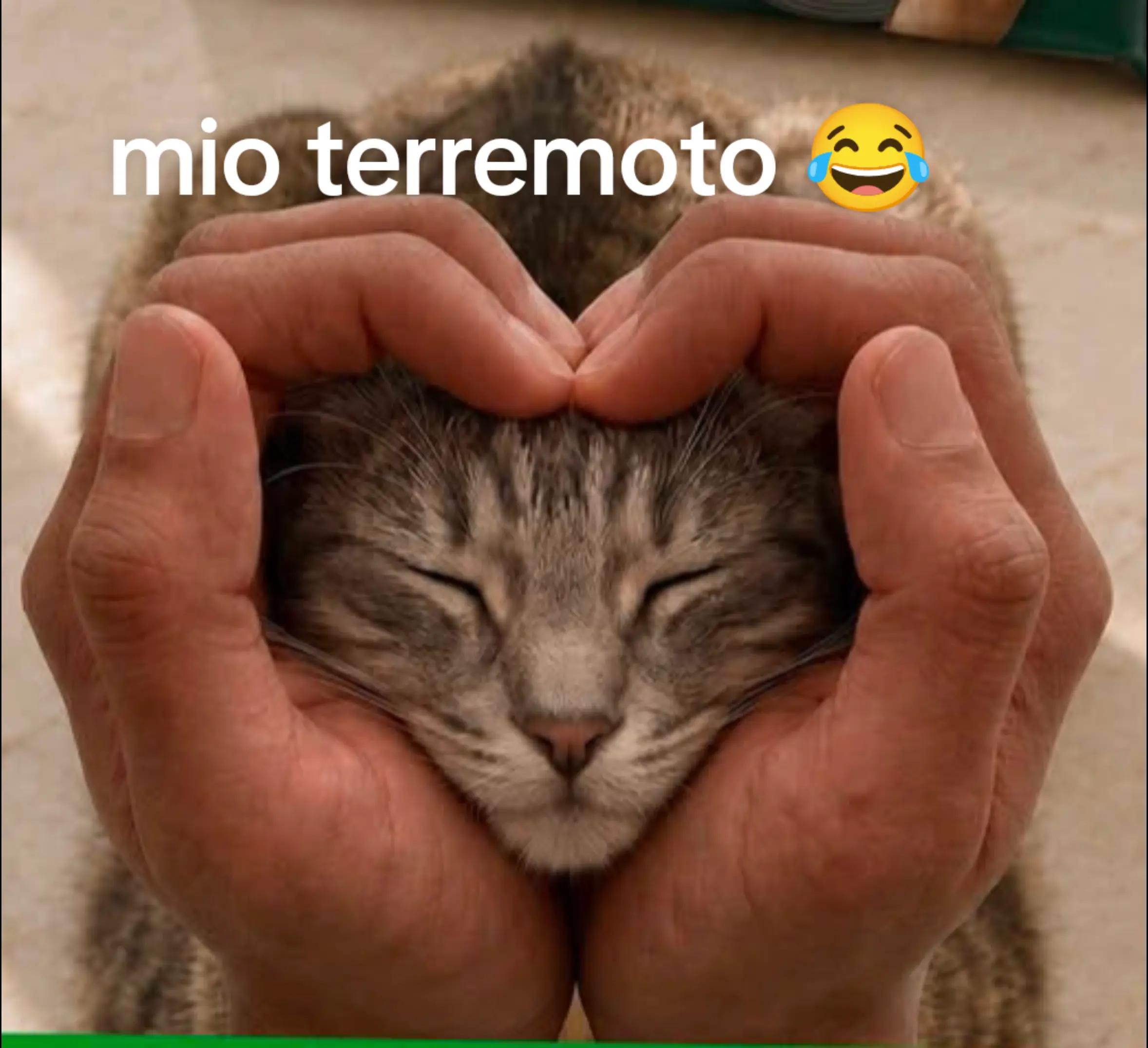 @JIA 👮👮👮