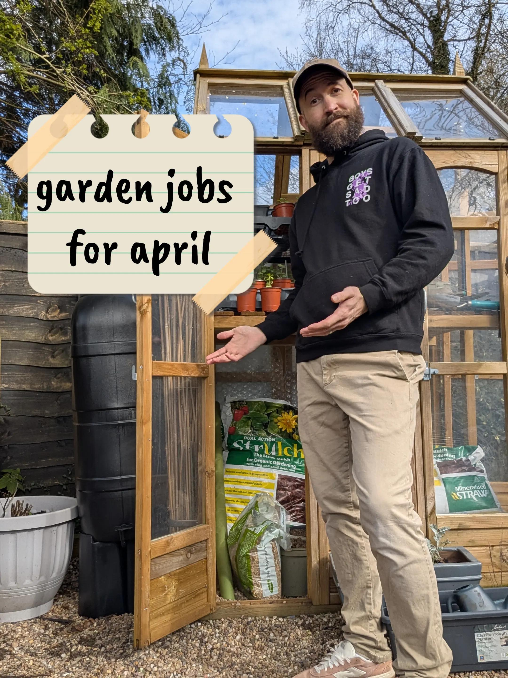 @Steady Going Gardener 🌸🌿