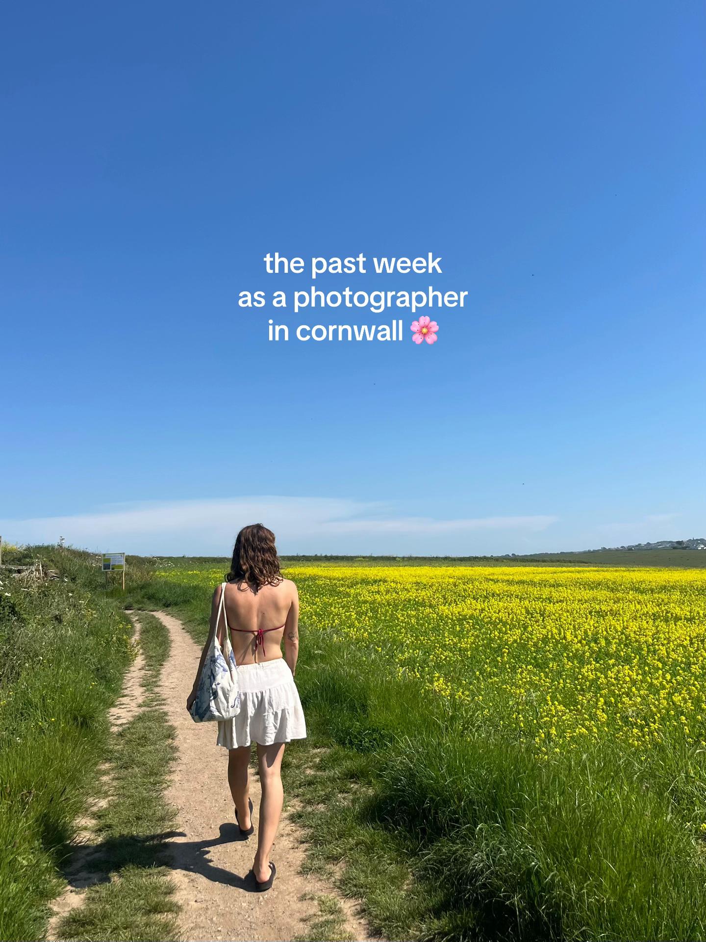 @Lauren 🌺