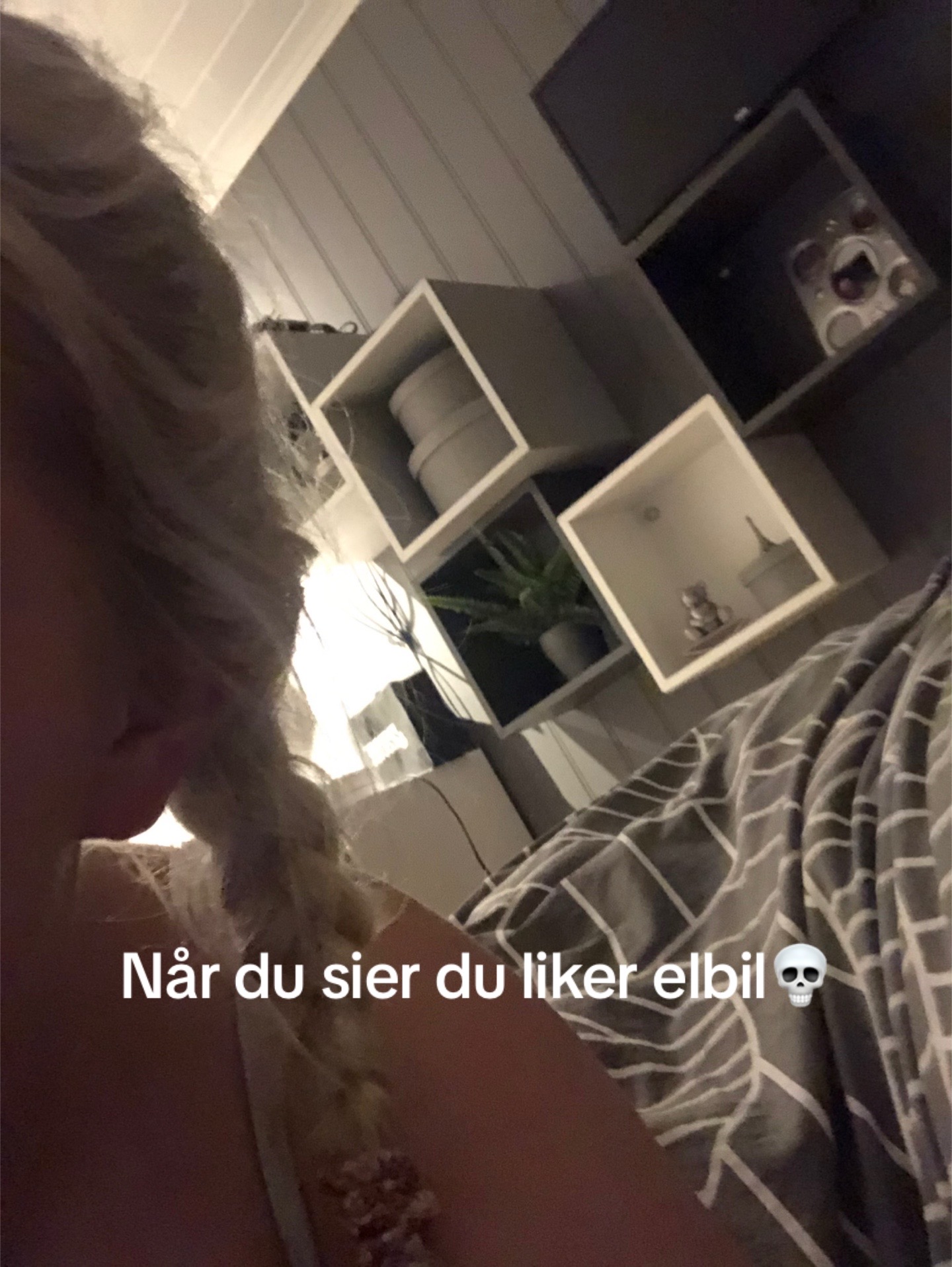 @høy_CO2forbruker