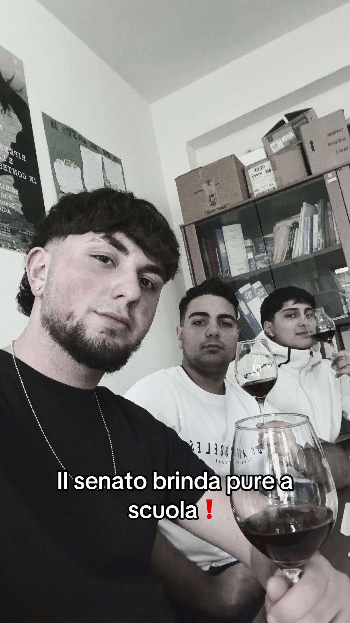 @il senato
