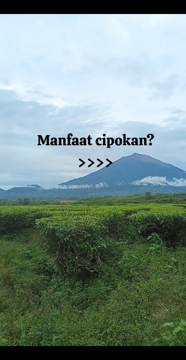 @Yuda_jambi