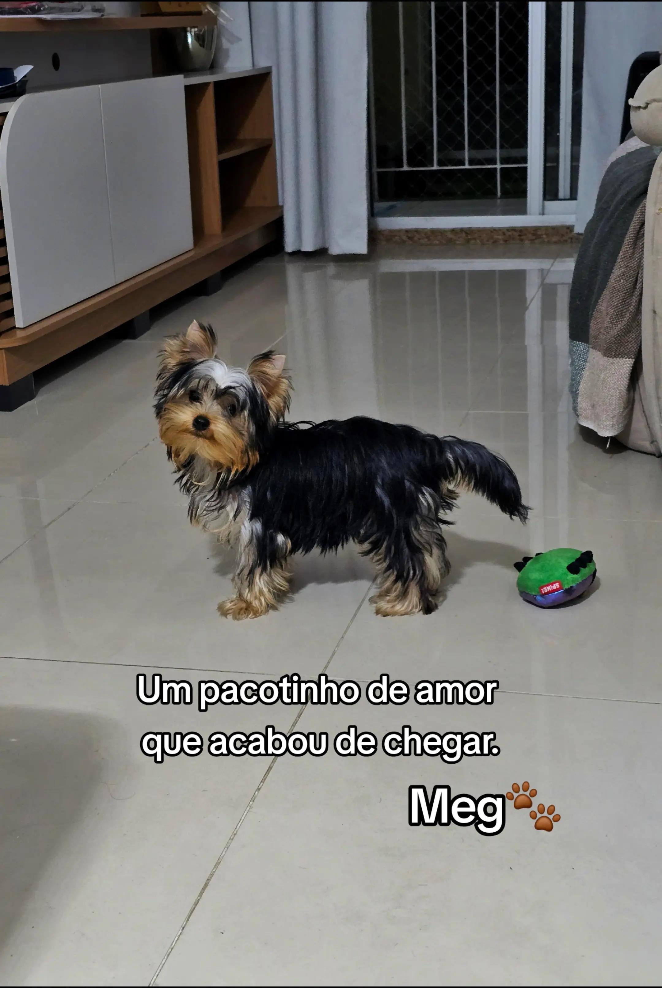 @Andréa Marques😊
