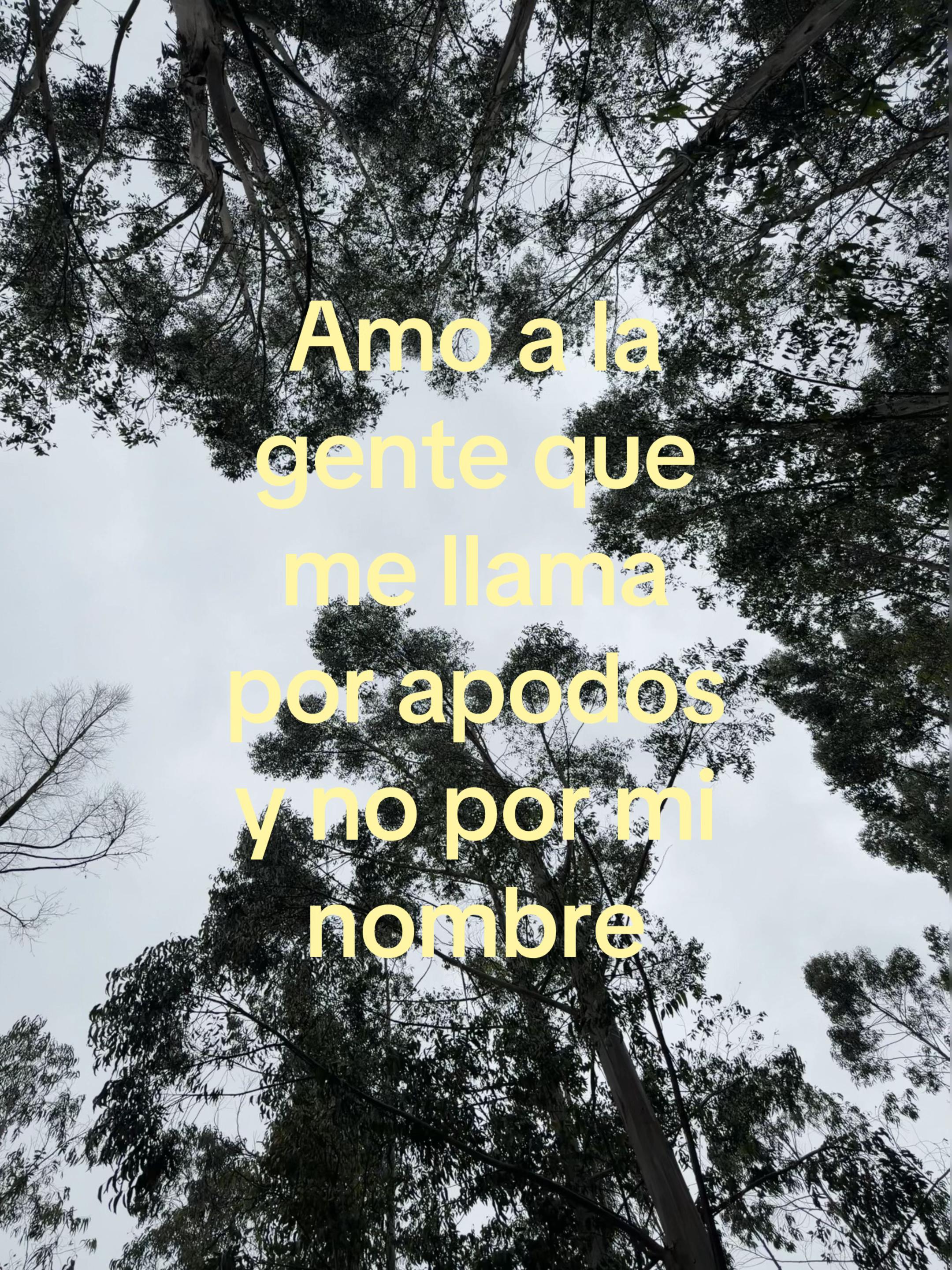 @sarita_soestoo