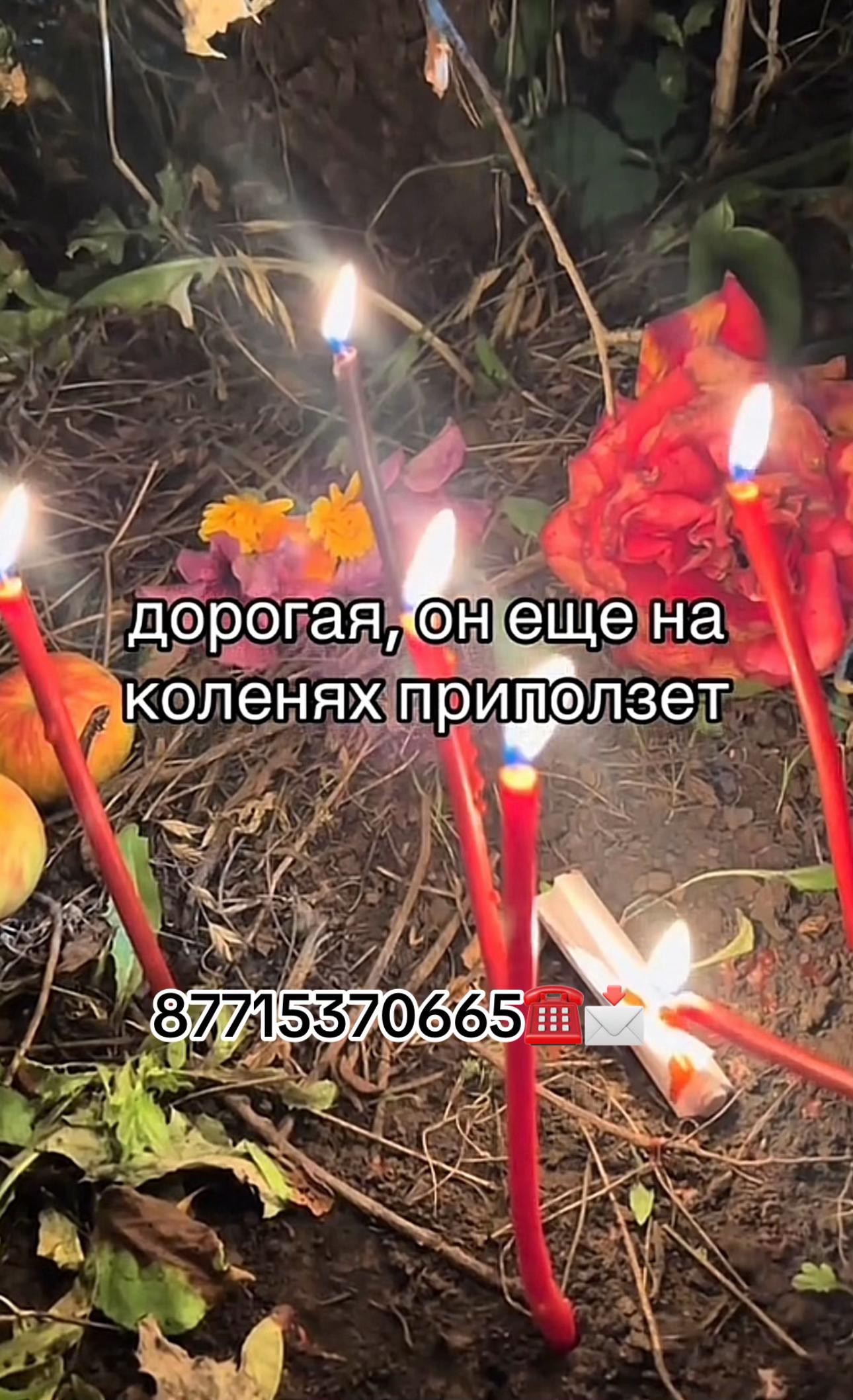@gadalkaruzi