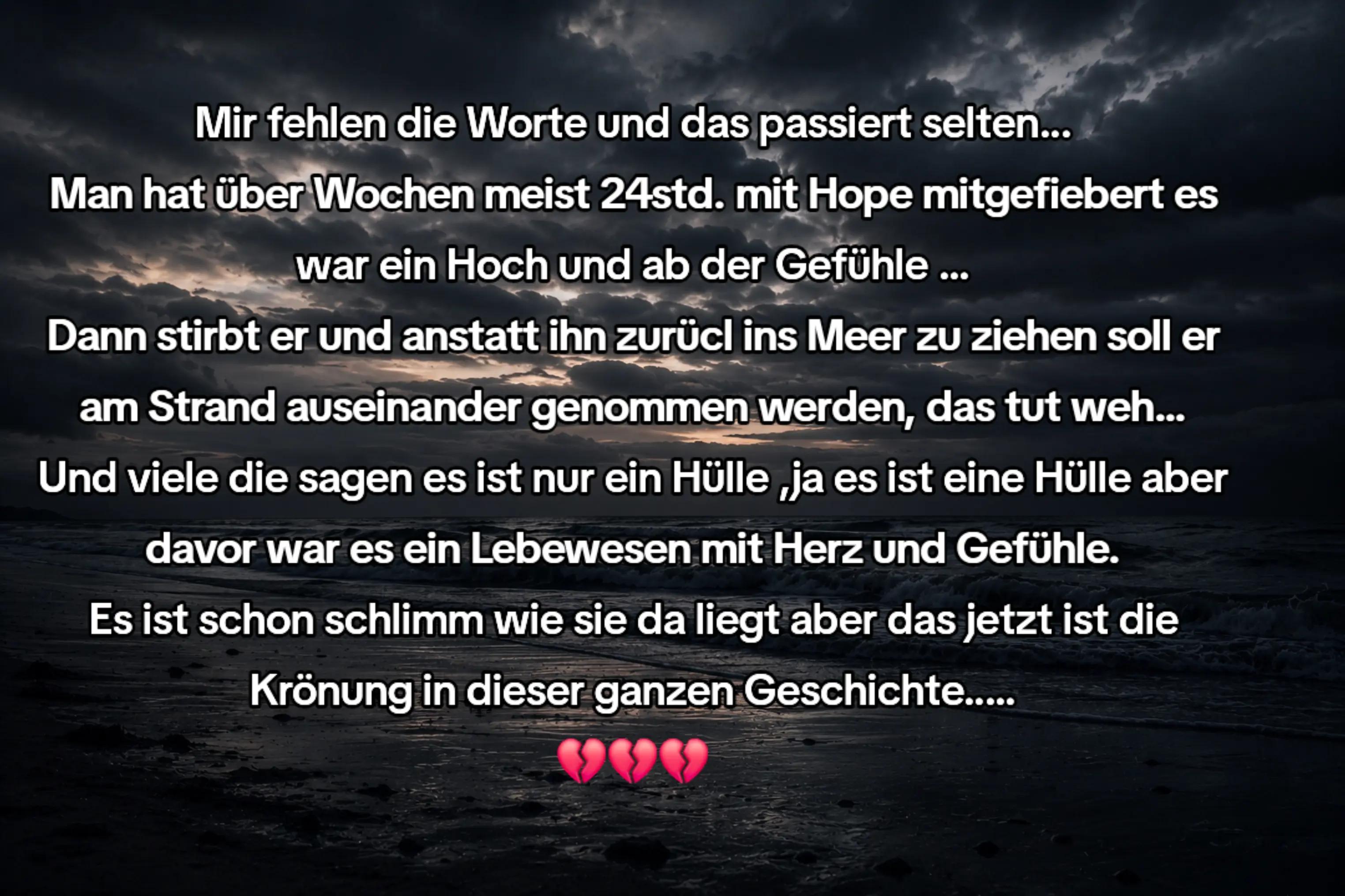 @🐳📚❤️DreamySusu❤️📚🐳