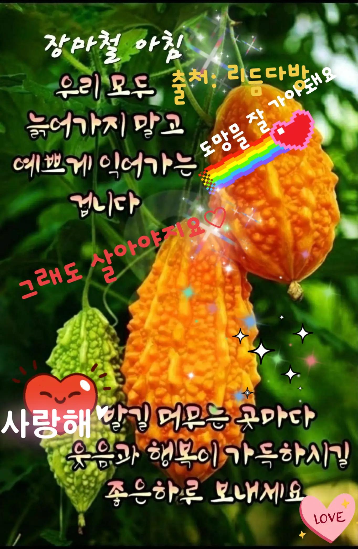 @🇰🇷💙청하🙏하게💙🇰🇷