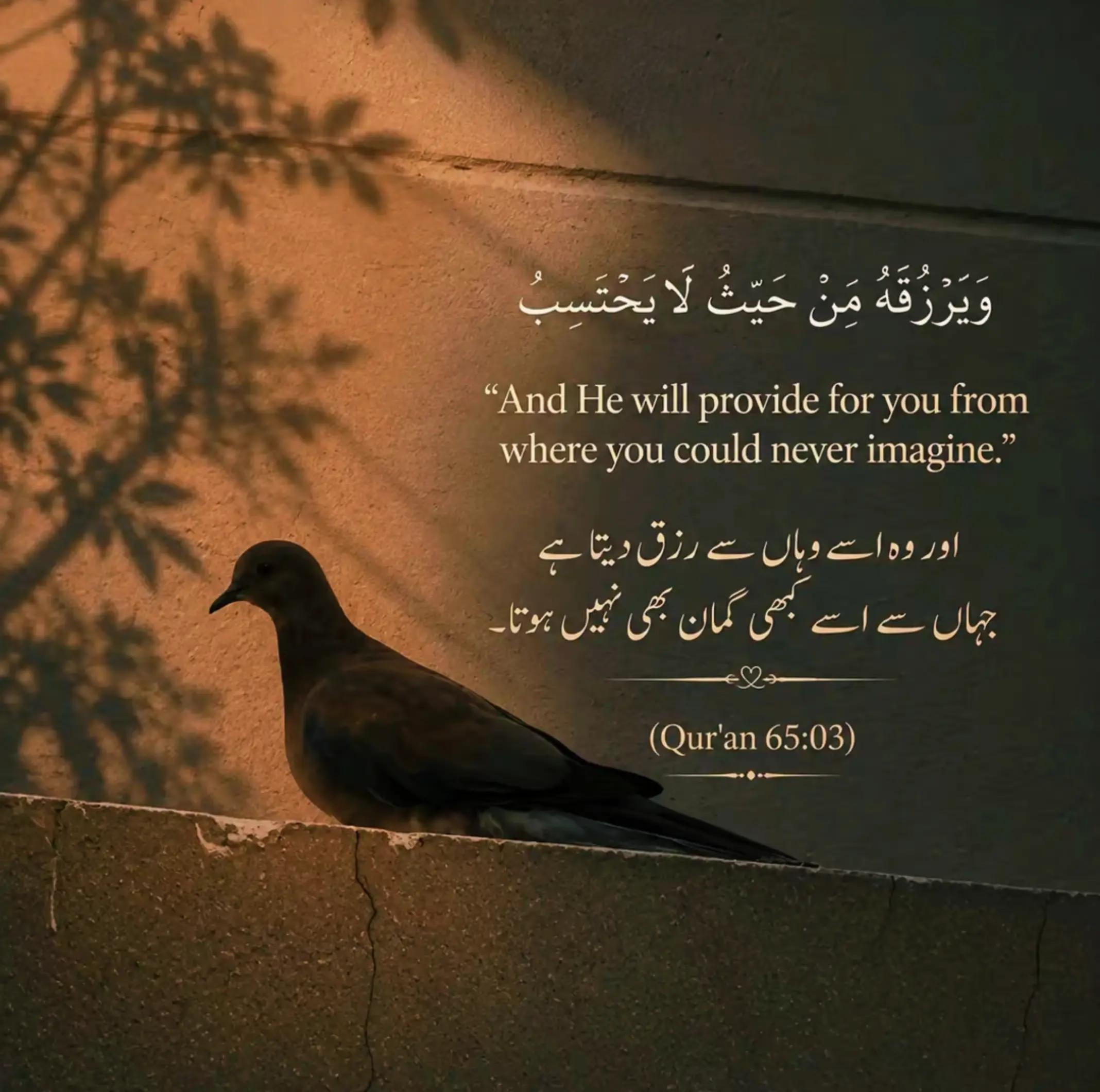 @Arsalan Ahmed (AA)
