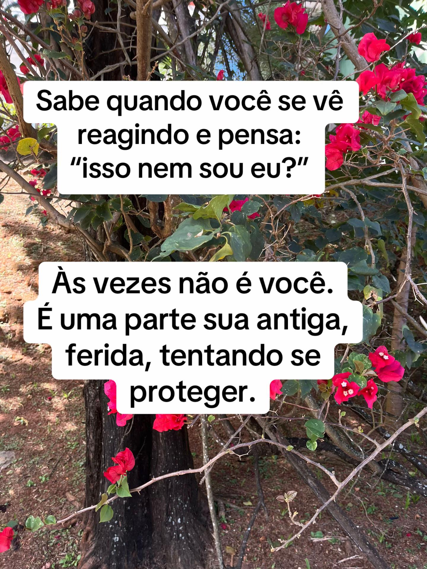 @Vanessa E. Santos | Terapeuta