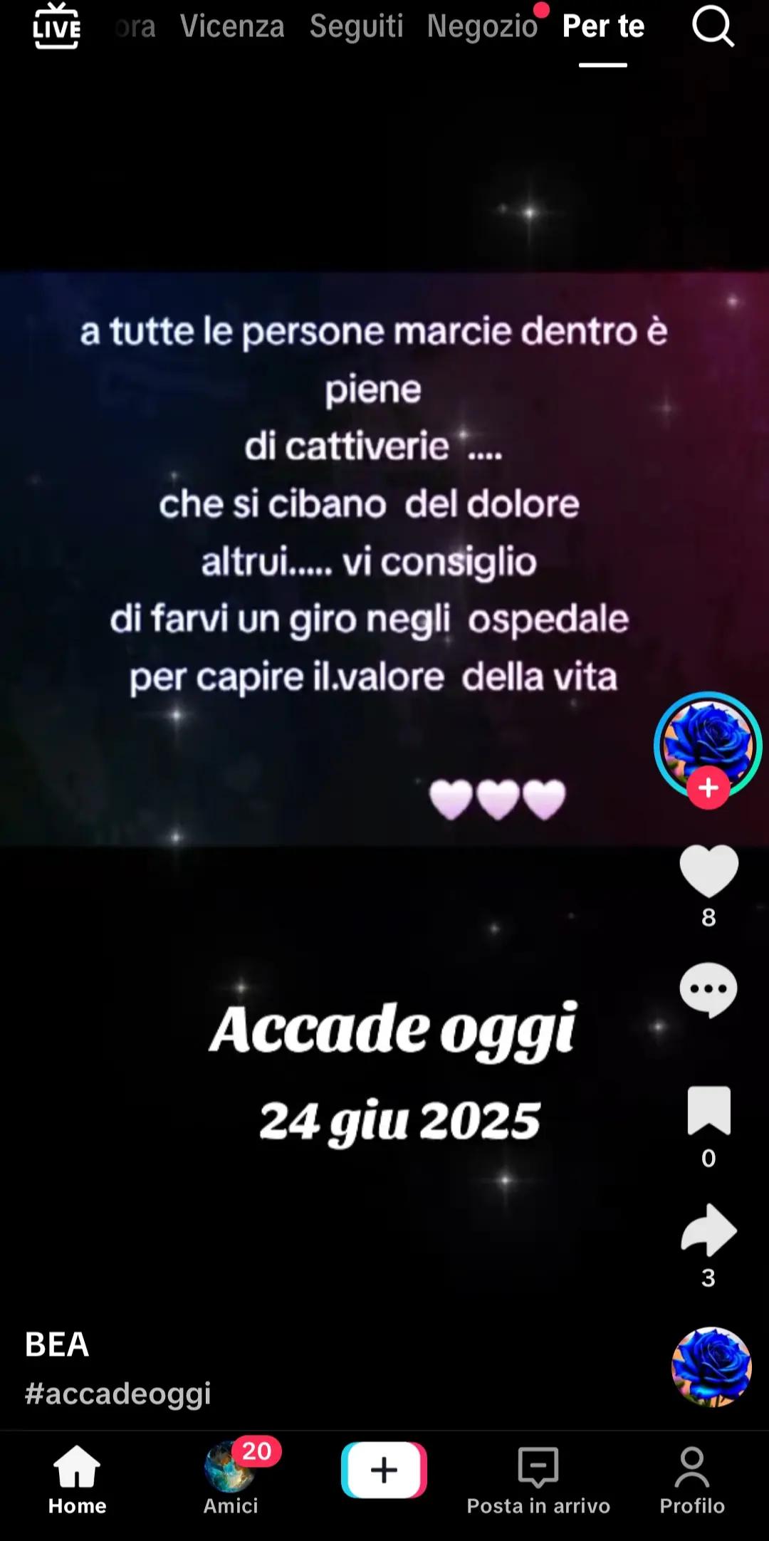@anna andretta