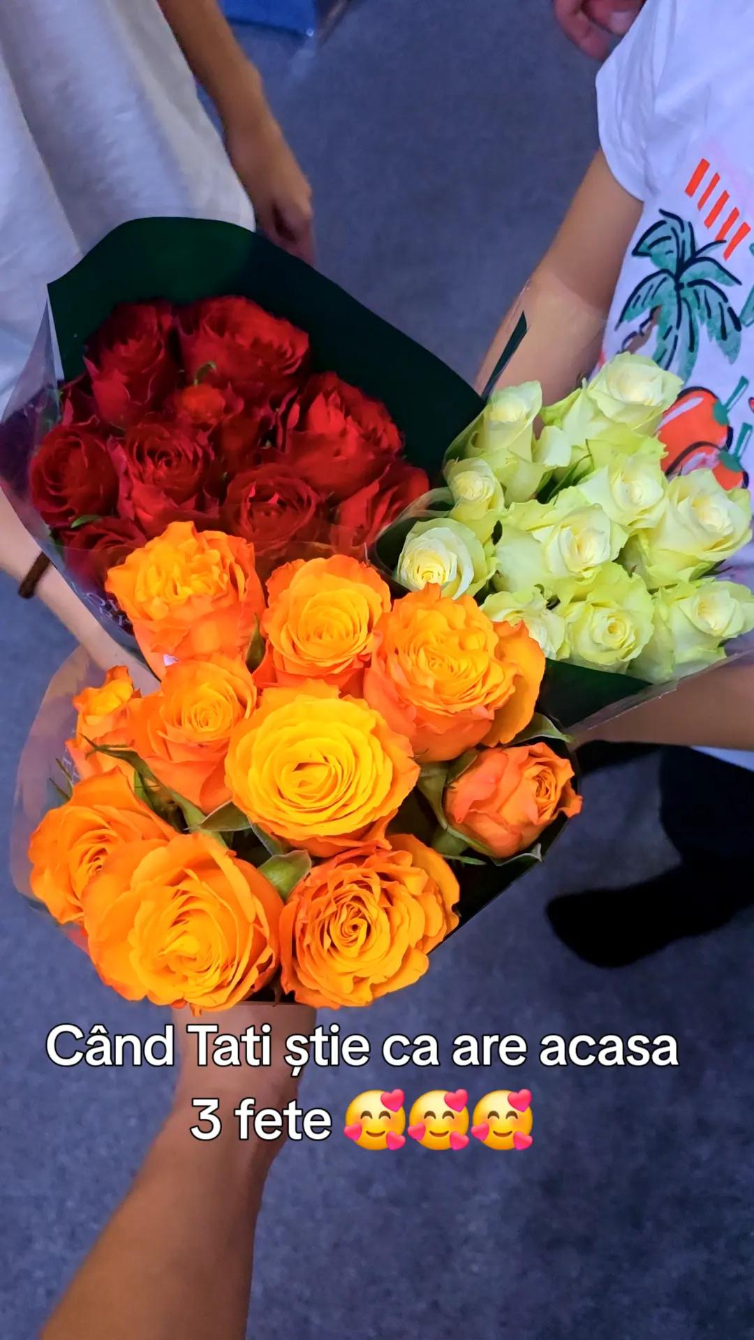 @Alessia