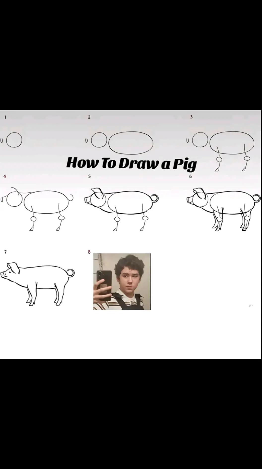 @MoggVelasik