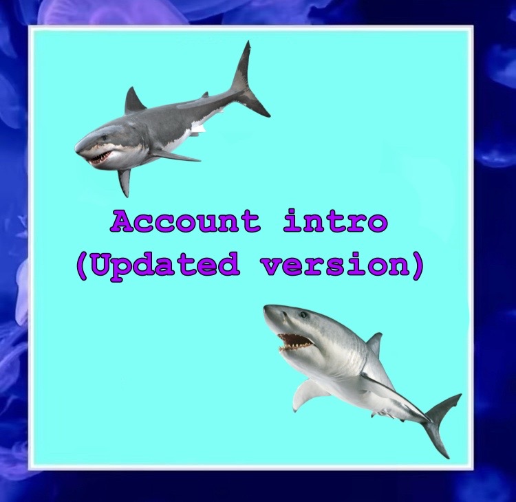 @🦈Void🦈