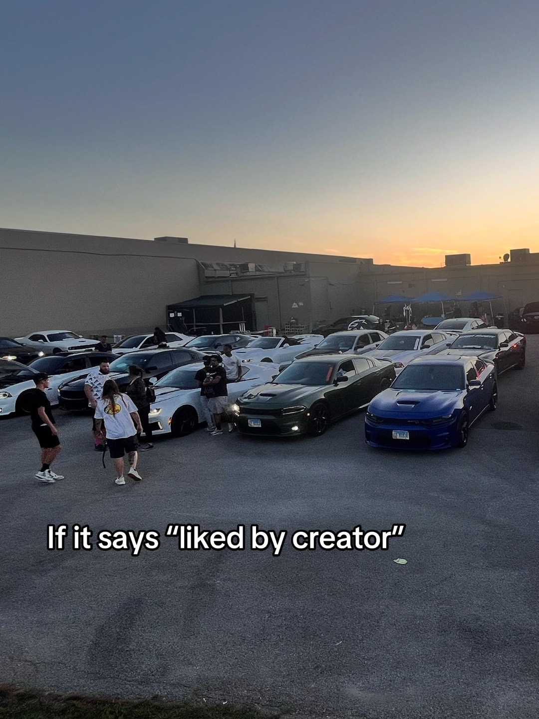 @LTAG2.0