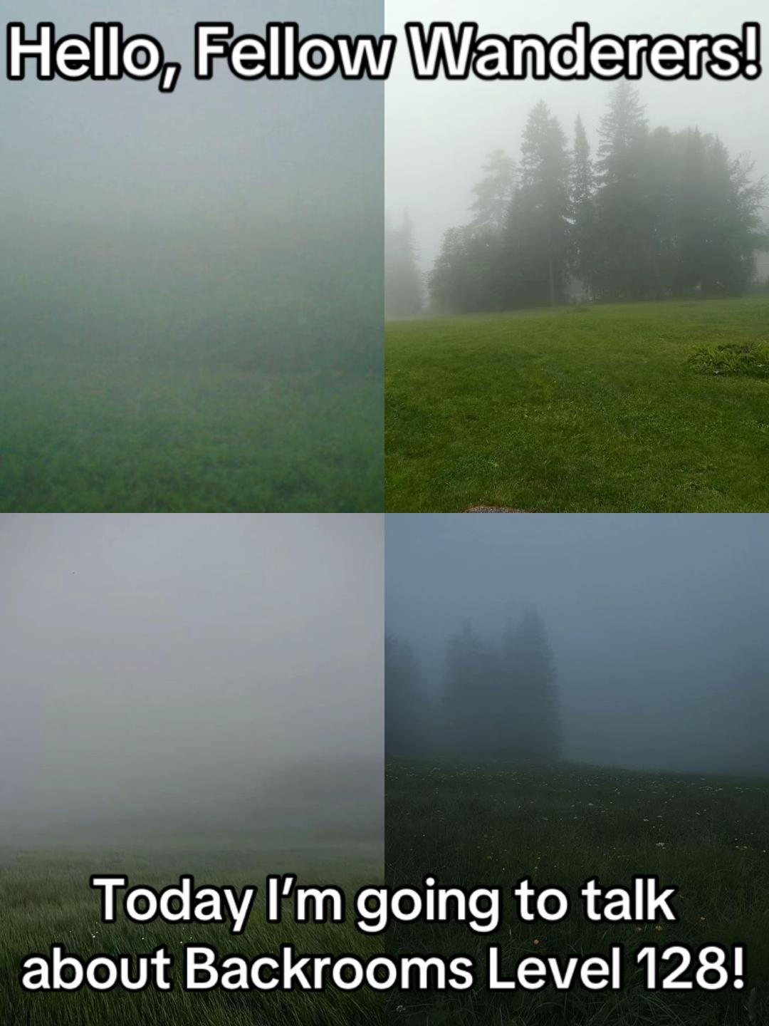 @Mister Wanderer