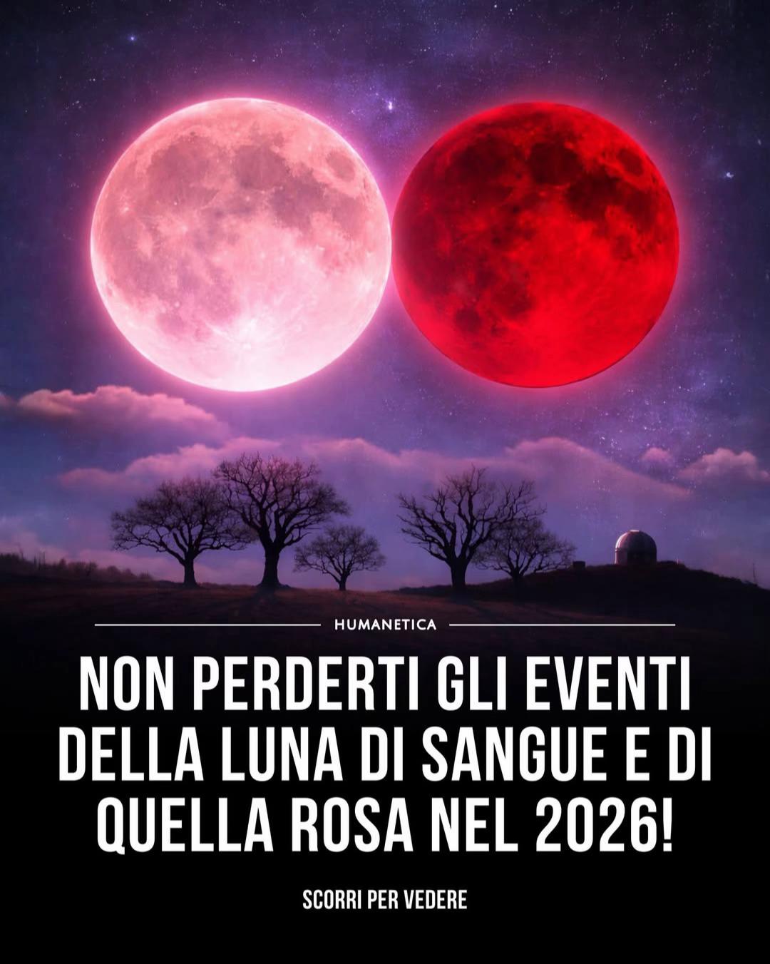 @Humanetica