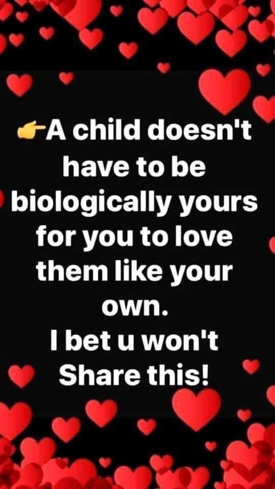 @stepdadonabudget2.0
