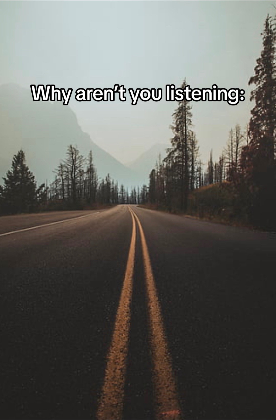 @Funfacts24