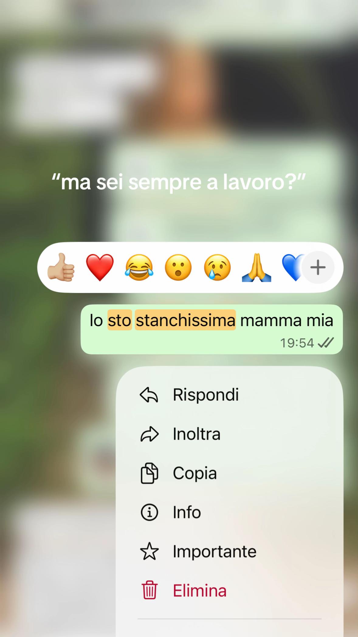 @Morena Pricci