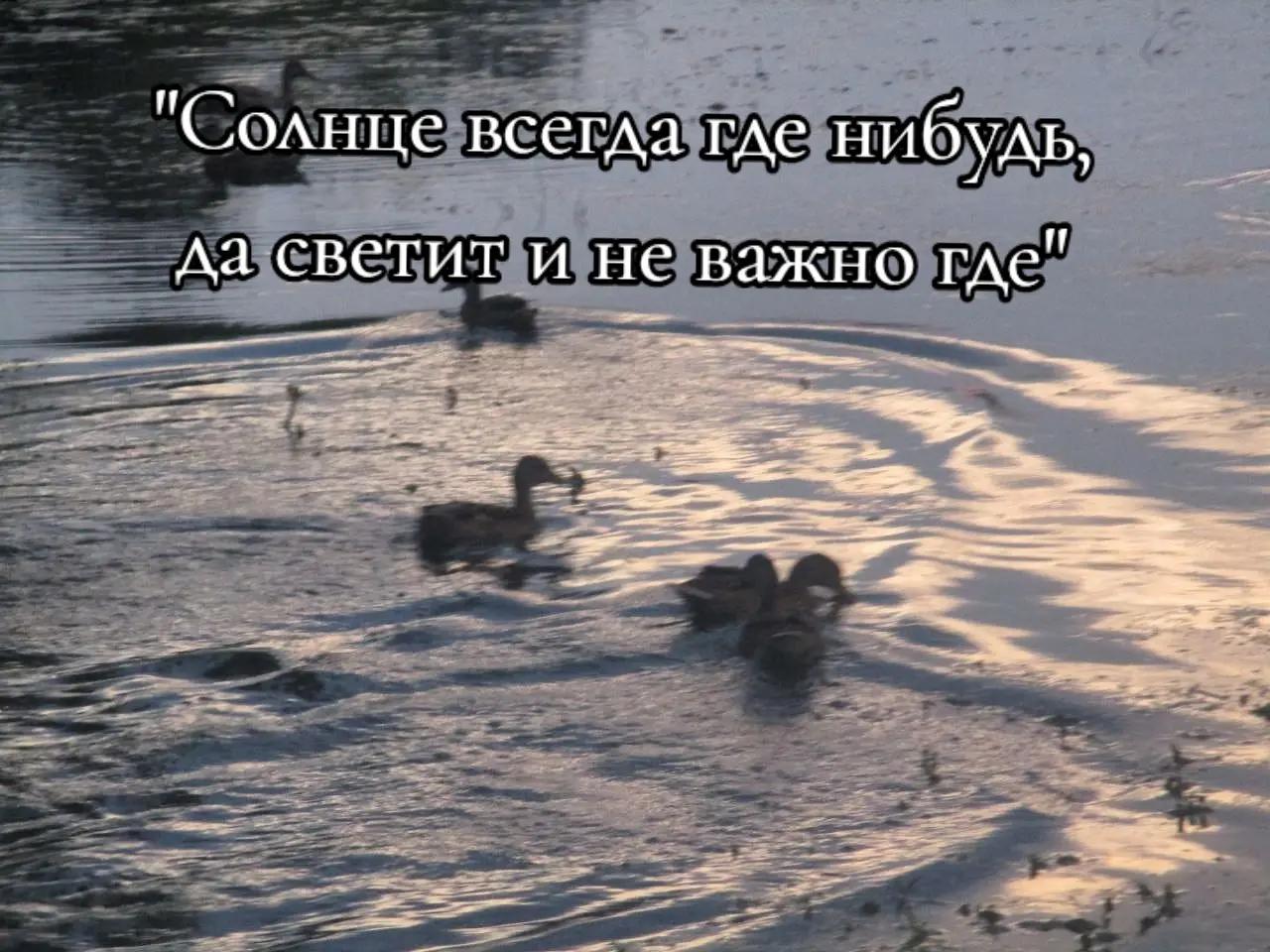 @veta