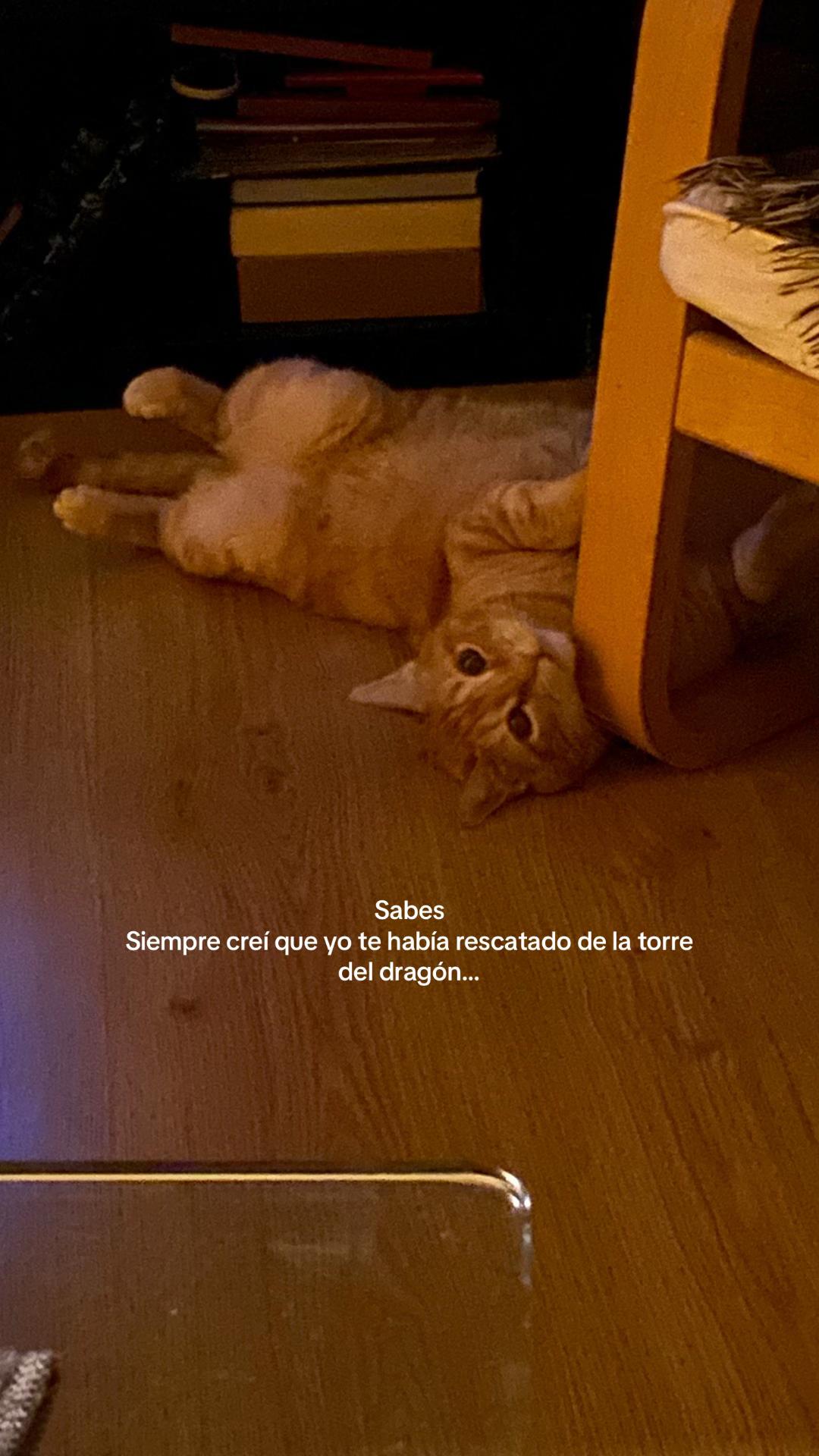 @Nadiaz✨